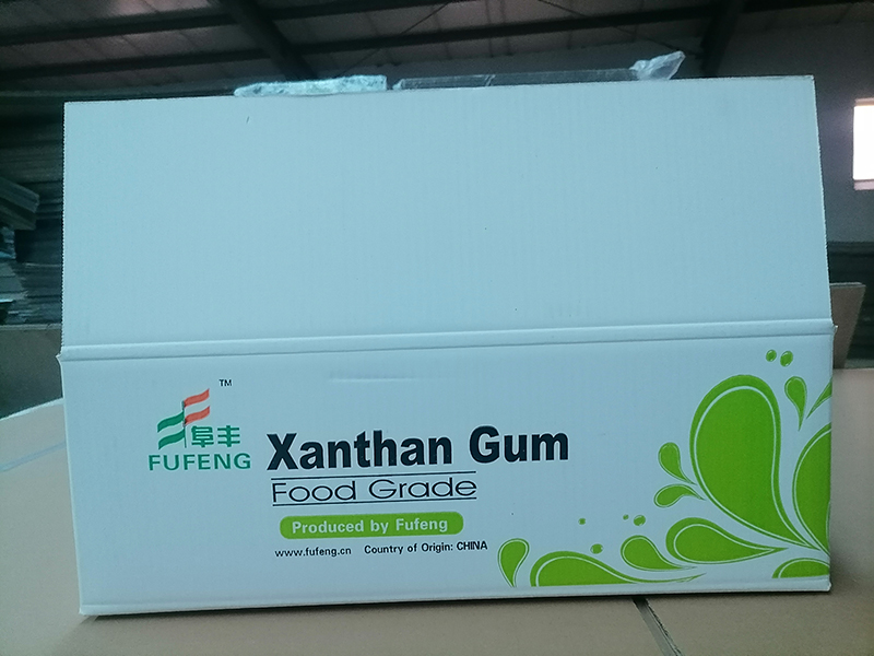 XANTHAN GUM CARTON PACKING 1.jpg